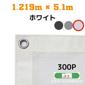 防炎メッシュシート 2類 1.219m×5.1m 10枚入り ホワイト 防炎シート メッシュシート 防火シート 難燃シート 透明シート 建築用 足場用 軽量 厚手 業務用 丈夫 防塵 耐候性 屋外用 規格品 工事現場 倉庫 車庫 養生 送料無料