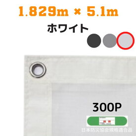 防炎メッシュシート 2類 1.829m×5.1m 10枚入り ホワイト 防炎シート メッシュシート 防火シート 難燃シート 透明シート 建築用 足場用 軽量 厚手 業務用 丈夫 防塵 耐候性 屋外用 規格品 工事現場 倉庫 車庫 養生 送料無料