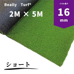 A[^[tlHŃV[gipC16mmj2m×5m