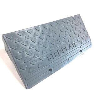 �A���I �X�e�b�v�v���[�g SP-10G 102×275×605 ����6�� AR-4090