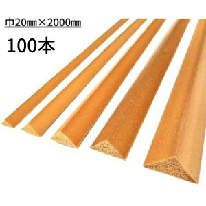 A[NG[X T-20 Aʖ 20mm 100{