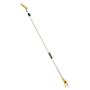 TV |[X 2i n 322 } |pi musashi