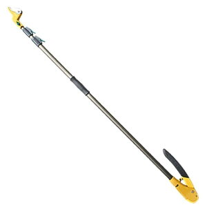 TV rvbVJbg3i Arn 531 } musashi