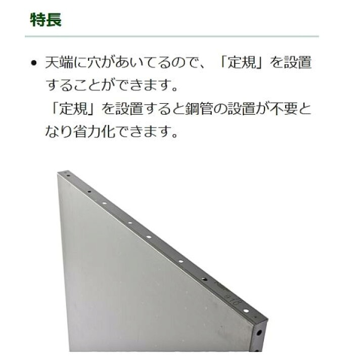 楽天市場】NSP 鋼製型枠 45mm 910パネル 750Hタイプ 天端穴有り 