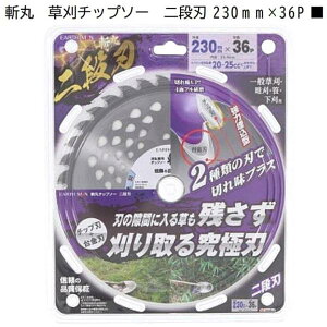 V EARTH MAN a `bv\[ in 230mm×36P  `bv\[ ͖^