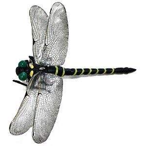 ~LRX C`Ȓ̓VG Ij}Z 3way M-55 ݎNbv&݂艺Ђ&Ss ŃMl쏊