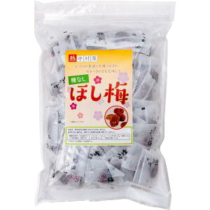ランドアート ほし梅 種なしソフトタイプ(500g袋入り)【熱中症対策/塩分補給/梅干し/現場作業/猛暑対策】