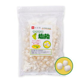 ランドアート サクサク塩飴 マスカット風味 500g袋入 熱中症対策 塩分補給 【楽天ロジT】