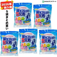 2026年最新入荷【5袋まとめ買い】 ランドアート 塩タブレット5兄弟 (500g x 5袋入） [塩飴 塩あめ 塩タブ…