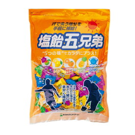 【特価】(賞味期限2026年8月12日まで)　ランドアート 塩飴五兄弟 800g 袋入り （約200粒） 塩分補給 塩飴 塩アメ 塩あめ 熱中症対策 塩飴5兄弟 塩タブレット