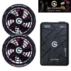 (����J���[) ���M�W���p�� GB-POWER 30V�t�@���Z�b�g GFX-BP(�u���b�N�s���N) + 30V�o�b�e���[Pro GB430-B �u���b�N 93Wh USB-A(5V/3V)�o��