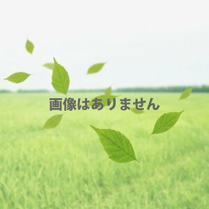 ]|^uLJʌvp vʃ}XڑP[u 2c 0.75sq 20m yЊQ΍/䕗΍z