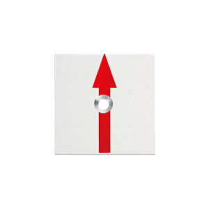 カクマル 35角 アルミ製境界プレート(2mm厚) 1穴タイプ(10枚入) 横矢 35x35x2mm アンカーピン付き RAP35211