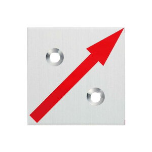 JN} 40p A~Ev[gi2mmj 2^Cvi10j Ζ 40x40x2mm AJ[st RAP40222