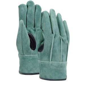 y2o܂Ń[֔zӂ K-495 ICv V Aet v LTCY[(2o܂)]́̕A葱ʂ̔z@uǐՉ\[ցvI