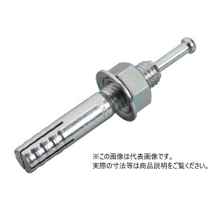 サンコーテクノ SC-1060 ねじの呼びM10 全長60mm ミリねじ ステンレス製 オールアンカー 50本入