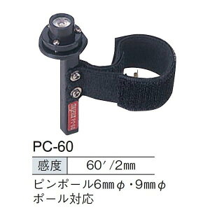 MYZOX }C]bNX s|[p PC-60 s|[Ή y y ʐ^ vYs|[z