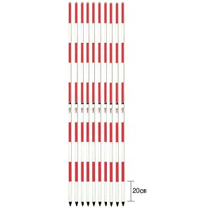 y10{܂Ƃߔz MYZOX }C]bNX }C|[ 2m2i MYPL-22 i10{Zbgj LkA ~|[ [A~|[ y؍H ]