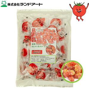 hA[g hC|g}g 350gܓ [MǑ΍ ⋋ hCt[c Rs] yyVWTz