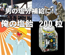 楽天市場 俺の塩の通販