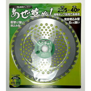 n@No1@1@255×40P@ACEbh@`bv\[@`bv\[@oׁ@؍Hp`bv\[ƓŊꖡQ