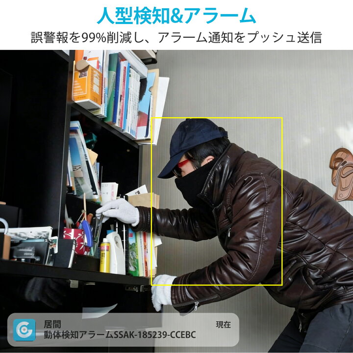 楽天市場】見守りカメラ2K ペットカメラ 防犯カメラ 室内 家庭用 監視 