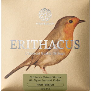 �m�u���b�N EDB34.5�EBI�i�C�����E�G���^�N�X�Z�b�g�E�n�C(SET) KNOBLOCH/BI nylon erithacus high tension �N���V�b�N�M�^�[��/�V���b�v��3980�~�ȏ�w���ő�������