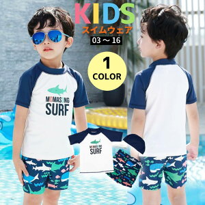 y艿i20%OFFzLbYXCEFA 3_Zbg ㉺Zbg ZbgAbv  qǂ q j̎q {[CY  C C v[ V j r[` ][g s w ct ۈ牀 