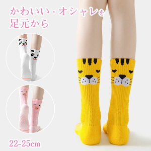 yN[|10OFFzfB[X C 킢    t  L  ~ X|[c Ȃ v[g  Xj[J[ lC  AEghA Z I