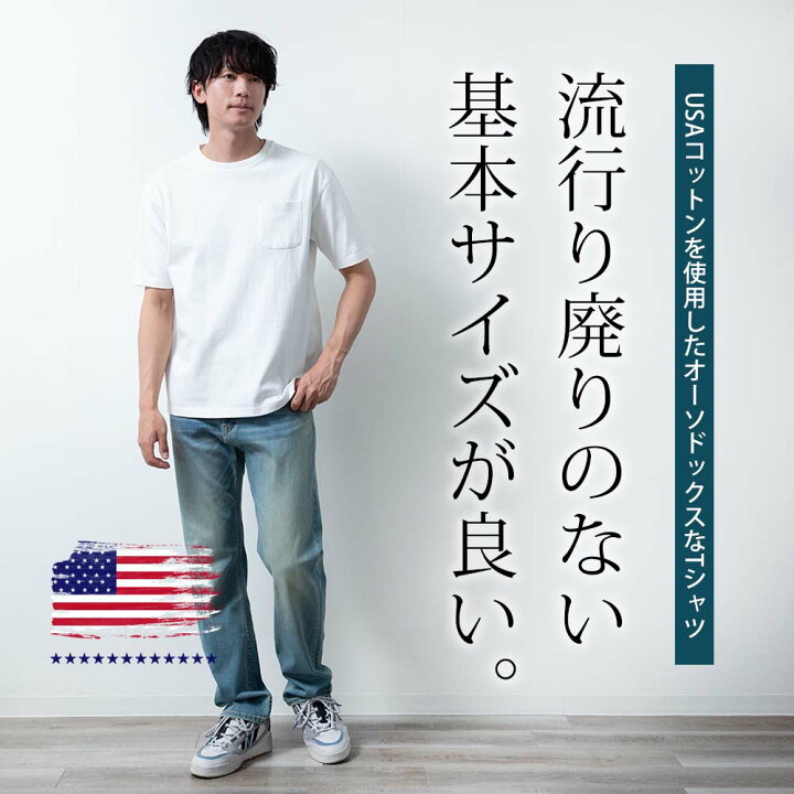 楽天市場】tシャツ メンズ 無地 半袖 綿100 USAコットン 半袖tシャツ 