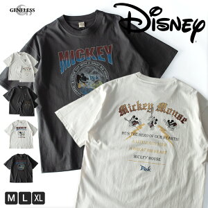 tVc Y 100 傫  sOg LT fBYj[ ~bL[ Disney tVc N[lbN gbvX Vv JWA n  t S4F 5277-2806 WFlX
