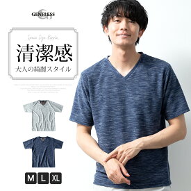 tシャツ メンズ 半袖 Vネック カットソー 半袖Tシャツ 無地 シンプル ベーシック 半袖tシャツ おしゃれ 夏服 柔らかい トップス インナー 父の日 父の日ギフト 全2色 6051619 ジェネレス