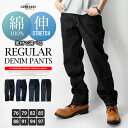 デニムパンツ ジーンズ メンズ ストレート レギュラー 綿100％ コットン ストレッチ ボトムス ジーパン オールシーズン デニム ブラック メンズパンツ ロング 全4種 黒 インディゴ 大きいサイズ ゆったり T01-DX T02-DX ジェネレス