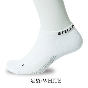 St Y St\bNX C AN StC z   Z  g[jO \bNX   ~ StEFA Xgb` ubN O[ zCg S3