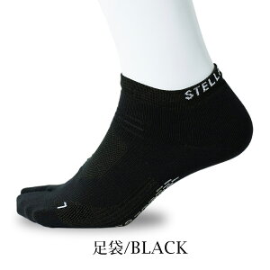 St Y St\bNX C AN StC z   Z  g[jO \bNX   ~ StEFA Xgb` ubN O[ zCg S3