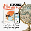 【公式】GeneLife Haplo3.0 ジーンライフ 祖先遺伝子検査キット 祖先 ルーツ 民族構成 国内解析 DNA検査キット 1個