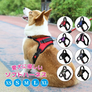 yj^[i ̓ʉiz n[lX SȂ 킢 [h   Ȃ ɂ y ^ ^ ^ \tg bN Xebvn[lX EFAn[