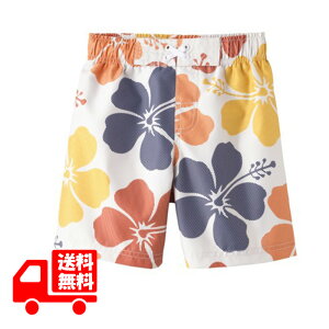 qp  j̎q ciRco An nCrXJX i` T[tpc j XC~O pc qp C|[g AJA ct ۈ牀  nC |Cg