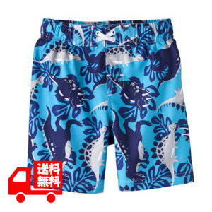 ǂ  j̎q  ciRco eBmTEX gPgvX T-REX j XC~O pc XC~O qp C|[g AJA ct ۈ牀  |Cg