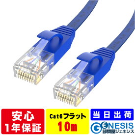 フラット LANケーブル cat6e 10m 業務用 企業向け 1.3mm厚 カーペット 赤 青 白 黒 黄 ストレート ランケーブル RJ-45 サーバー ethernet cable cat6 flat