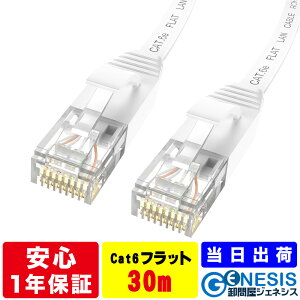 tbg LANP[u cat6e 30m GSPOWER Ɩp ƌ 1.3mm J[ybg      Xg[g P[u RJ-45 T[o[ ethernet cable cat6 flat