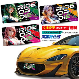 ナンバープレートカバー ナンバー隠し 撮影用 車 スポコン レーシングガール 痛車 展示用 オーダーメイド 名入れ オーダーメイド 文字変更 フロント リア 兼用 工具不要 簡単着脱 マット仕様 GENESIS 19-21
