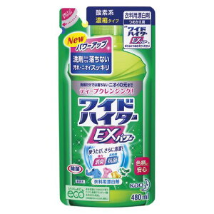 ԉ ChnC^[EXp[l/480ml