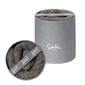 Ă^I feel tFCX^I `R[(O[n) 34×85cm 100 {bNX SD-FEEL-FCH