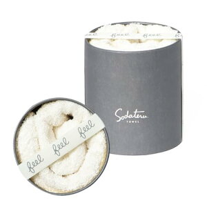 Ă^I feel tFCX^I ~Xg(n) 34×85cm 100 {bNX SD-FEEL-FMI