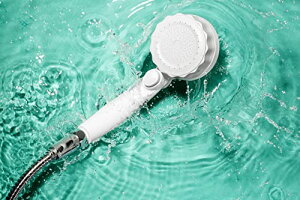 쏊 MIZSEI ou[~XeB V[wbh SH219-2T