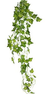 MedianField y ϗtA ACr[ 1{ z Ǌ| CeA AeB[N G  lH tFCN Ǌ| O[  A ݂ (1