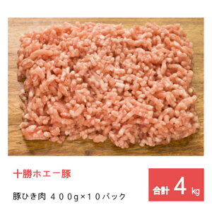 _LINEo^łOFF^ Ɩp Hi  \ zG[ Ⓚ  Ђ Zbg4kg i400g×10pbNjy v[g  ~` 킯 kC ҂ ғ O    