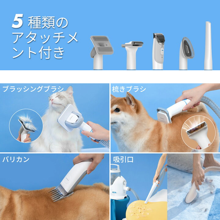 楽天市場】＼20％ポイントバック＋5000円OFFクーポン+特典付き／当日 