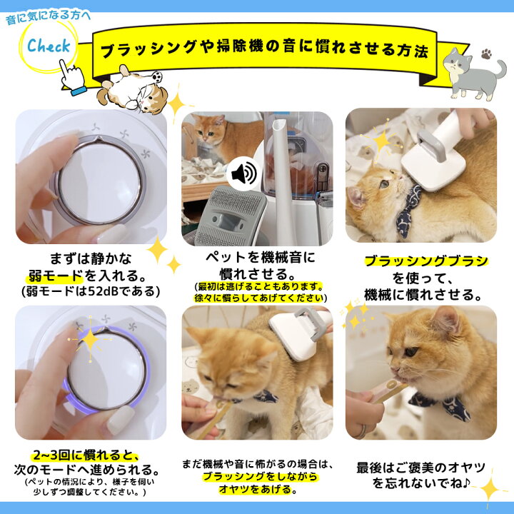 楽天市場】＼20％ポイントバック＋5000円OFFクーポン+特典付き／当日 